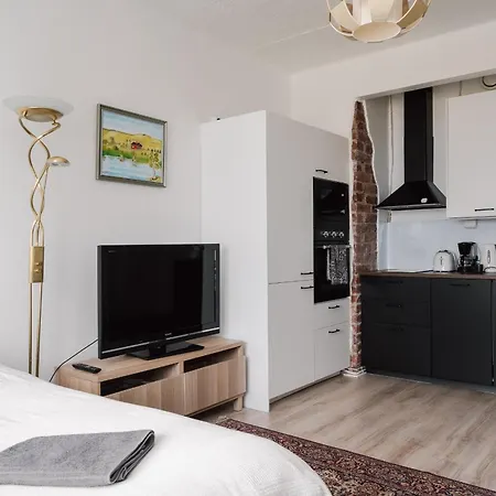 Renovated Floor In Kallio Apartment Helsinki