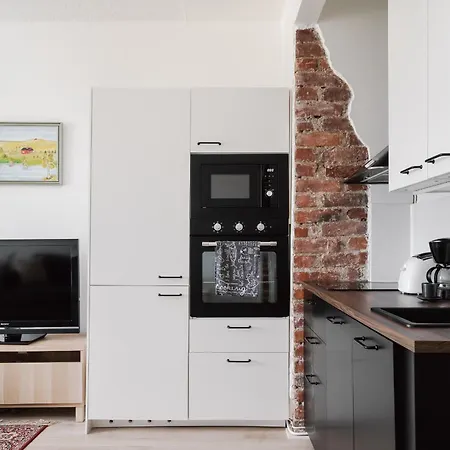 Apartment Renovated Floor In Kallio *