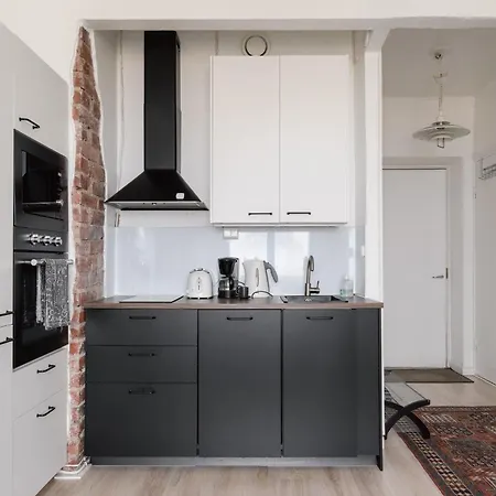 Apartment Renovated Floor In Kallio *